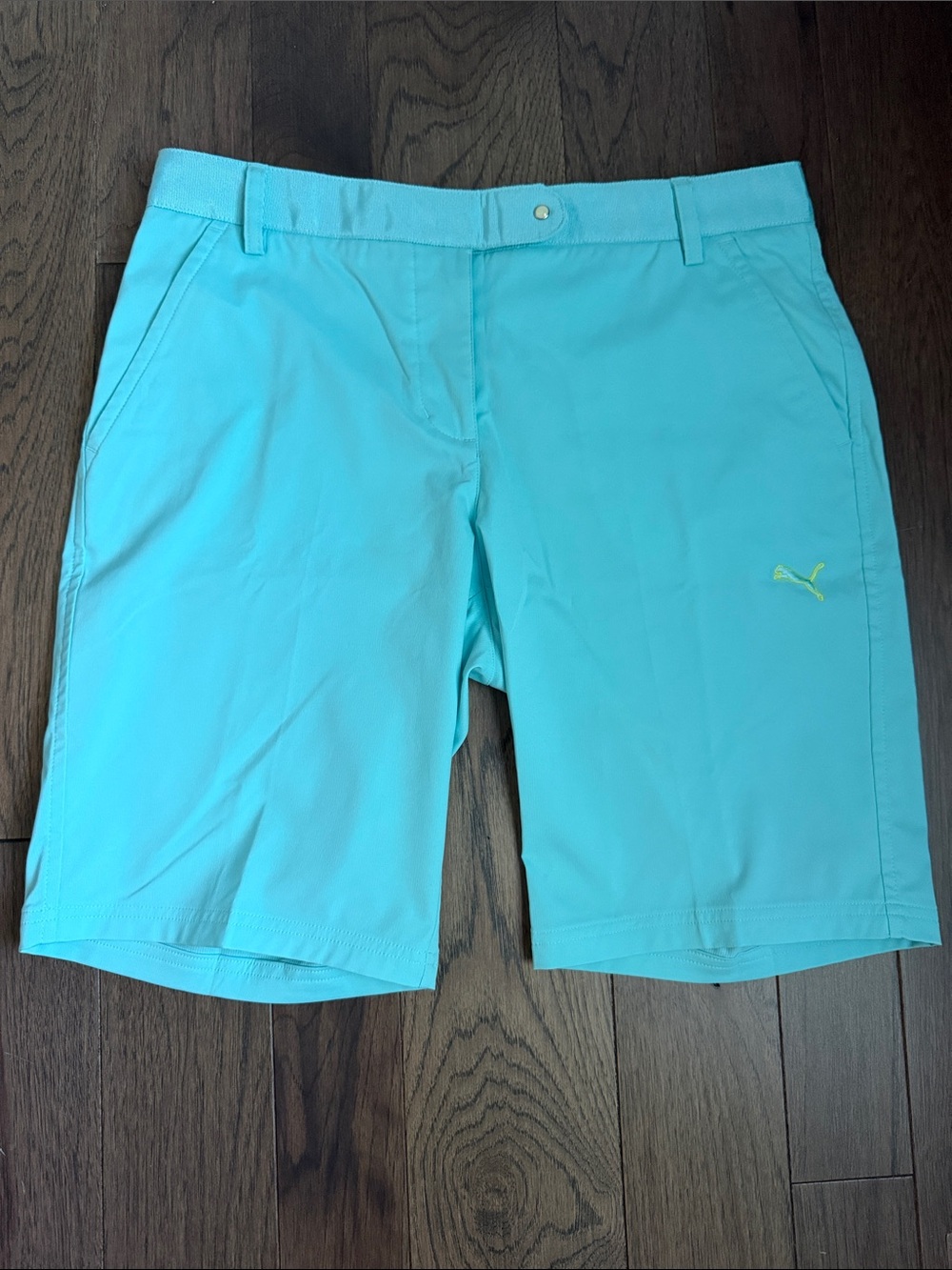 Puma Women’s Aqua/Turquoise Performance Shorts
